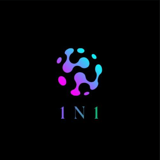 1N1