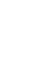 1N1