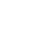 1N1